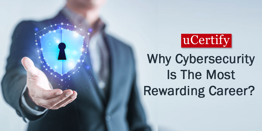 Why Cybersecurity Is the Most Rewarded Career?